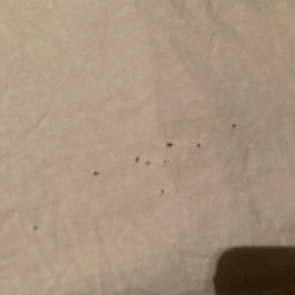 Spitfire White Graphic Tee for Kids - Picture 4 of 4